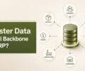 Why Master Data Is the Real Backbone of Your ERP? – Kriarj